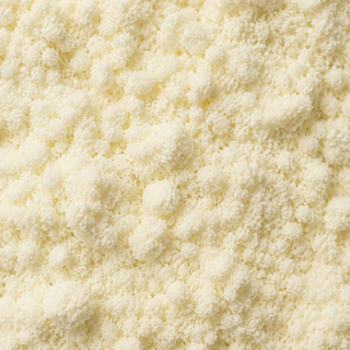 Bifidobacterium lactis Bl-04