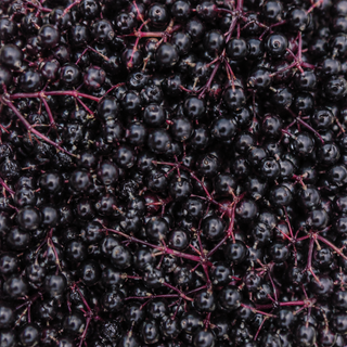 Elderberry