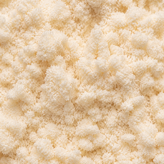 Lactobacillus plantarum Lp-115